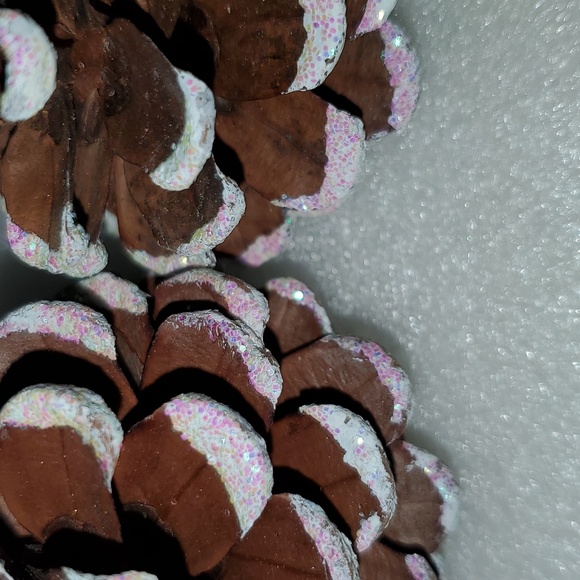 Pine Cones White Tips Glittered - Picture 3 of 5